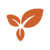 seer icon growth